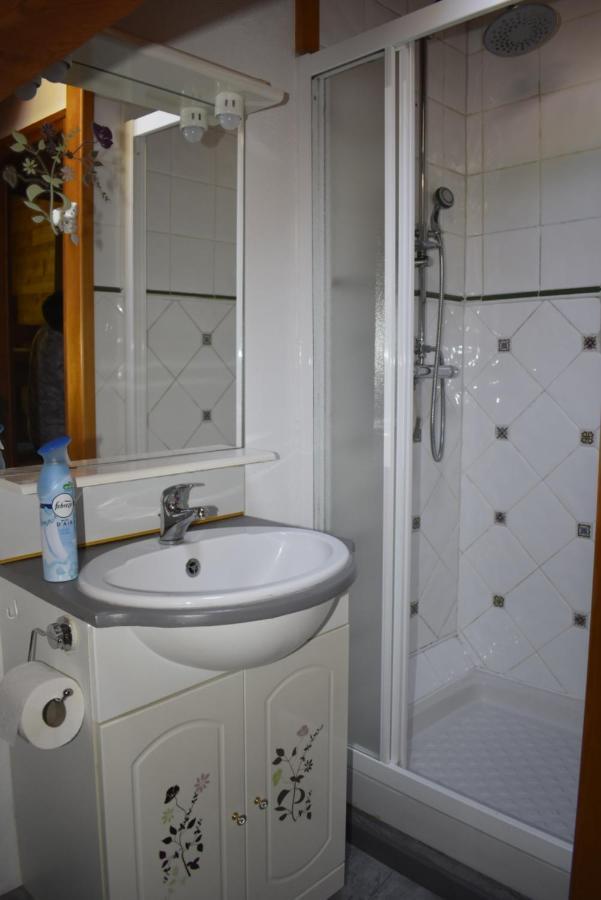 Chalet La Rioule 16 Pers Doucy Luaran gambar